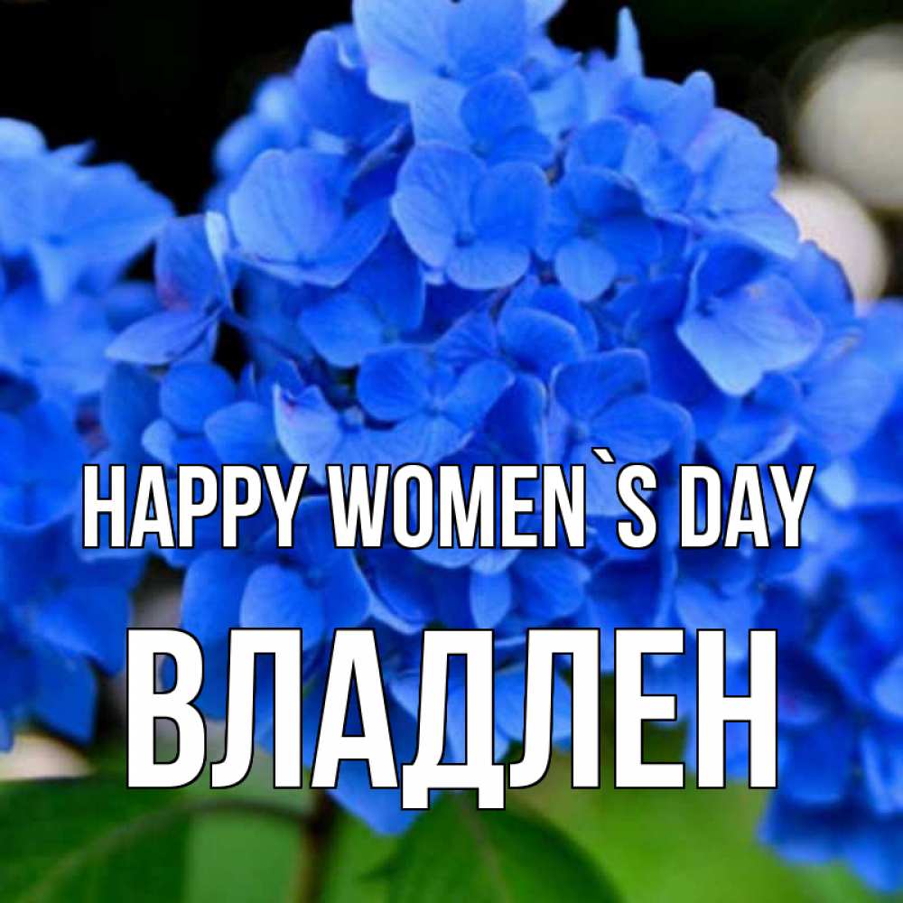 Greetings card с именем, Владлен happy women`s day синие цветы Greetings with text for free download 